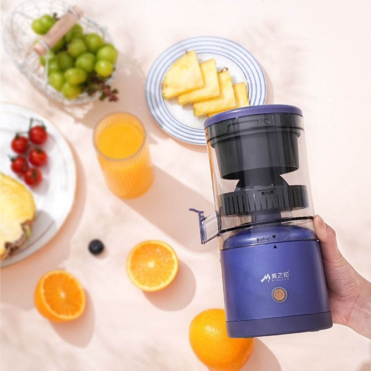 Mini Electric Fruits Juicer