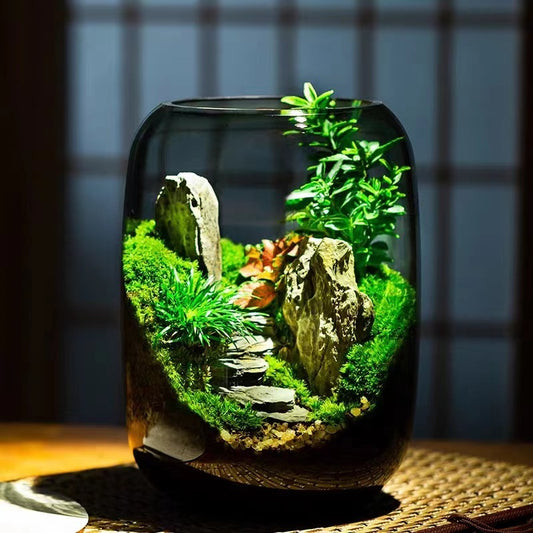 Moss Micro Landscape Garden