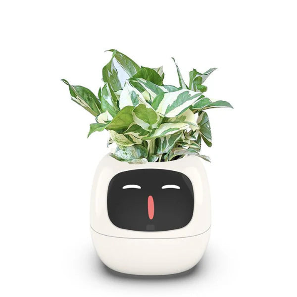 Sensor Smart Flowerpots