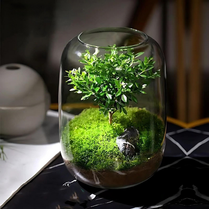 Moss Micro Landscape Garden