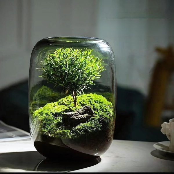 Moss Micro Landscape Garden