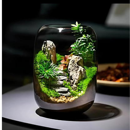 Moss Micro Landscape Garden