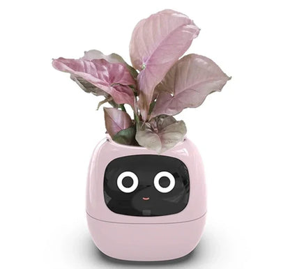 Sensor Smart Flowerpots